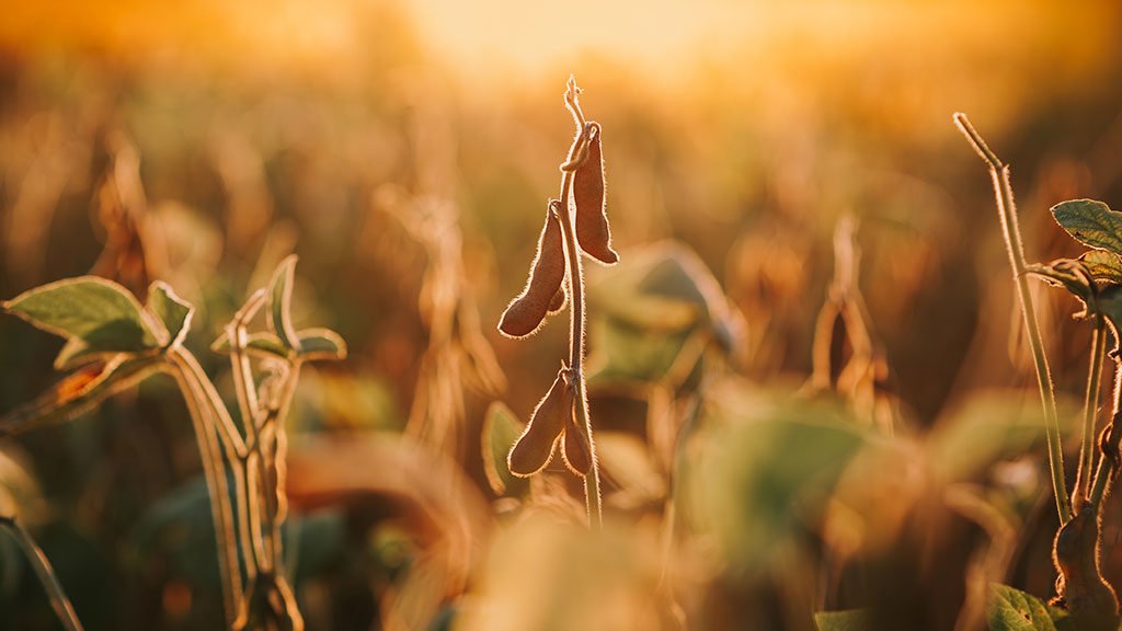 Direito Agrário e Agronegócio